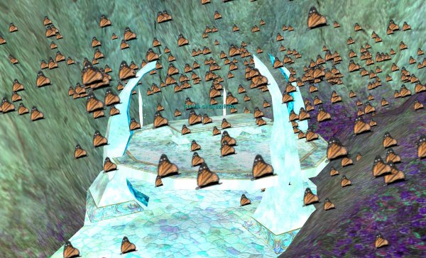 EQ%20butterflies%202.jpg