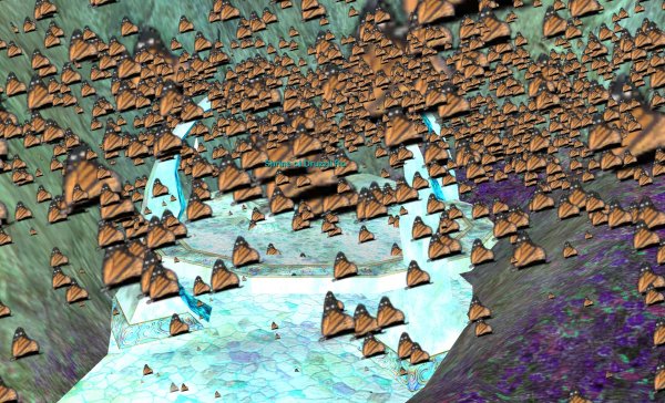 EQ%20butterflies%203.jpg